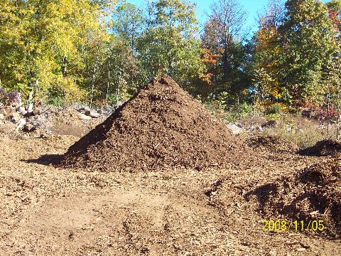 Composting 11 04 08 026 Medium Web view.jpg